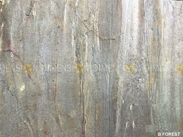 Stone Veneer  - DM/SV -02 - B FOREST - Size : 2' X 4'  