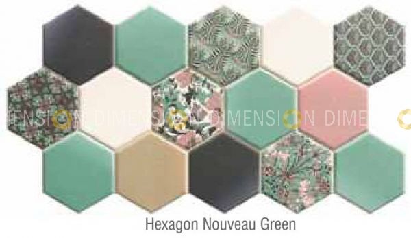 Ceramic Wall & Floor Tiles, IMPORTED - HEXAGON SERIES, Size : 26.5 cm X 51.0 cm
